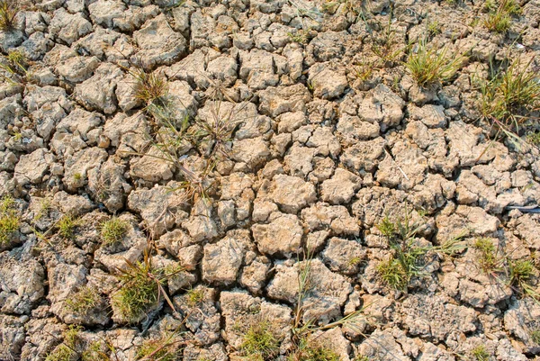 Fondo Tierra Agrietado Con Hierba Concepto Sequía — Foto de Stock