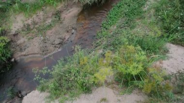 Yanında bitki olan küçük bir dere.