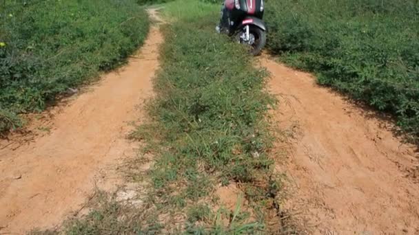 Motorfiets op het platteland, Opstijgend schot — Stockvideo