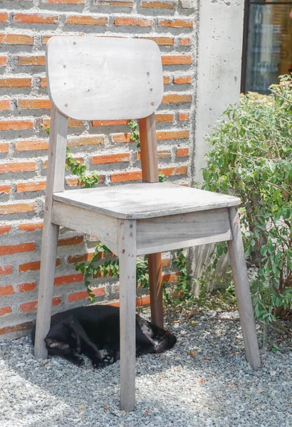 Gato Preto Estabelece Abaixo Cadeira Madeira — Fotografia de Stock