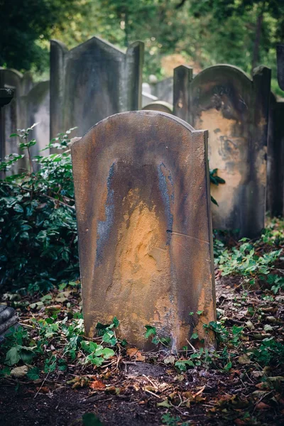 Histórico Antigo cemitério judaico em Wroclaw, Polônia — Fotografia de Stock