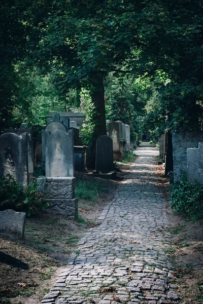 Histórico Antigo cemitério judaico em Wroclaw, Polônia — Fotografia de Stock