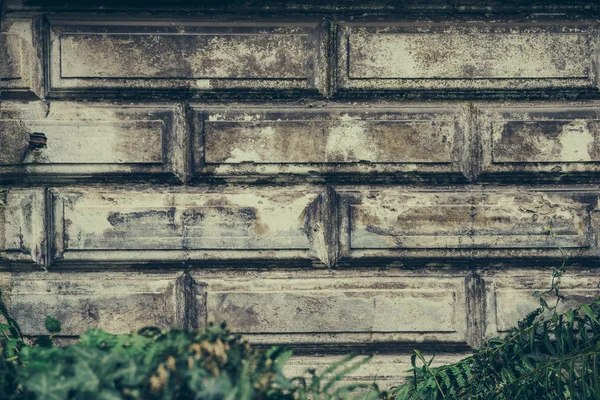 Antigua pared de piedra grunge textura y fondo de patrón cubierto de hiedra verde para el diseño de Halloween y texto —  Fotos de Stock