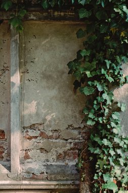 Eski grunge taş duvar doku ve desen arka plan Cadılar Bayramı tasarım ve metin için