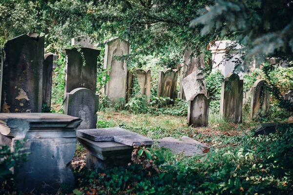 Histórico Antigo cemitério judaico em Wroclaw, Polônia. Antecedentes para design e texto de Halloween — Fotografia de Stock