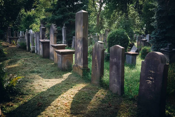 Antiguo cementerio judío histórico en Wroclaw, Polonia. Fondo para el diseño y el texto de Halloween — Foto de Stock
