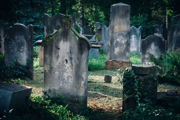 Antiguo cementerio judío histórico en Wroclaw, Polonia. Fondo para el diseño y el texto de Halloween — Foto de Stock