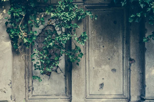 Antiguo grunge pared de piedra textura y fondo de patrón para el diseño de Halloween y texto —  Fotos de Stock