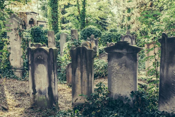 Antiguo cementerio judío histórico en Wroclaw, Polonia. Fondo para el diseño y el texto de Halloween —  Fotos de Stock
