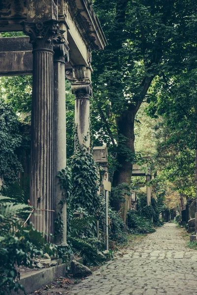 波兰弗罗茨瓦夫历史悠久的犹太公墓。万圣节设计和文字背景 — 图库照片