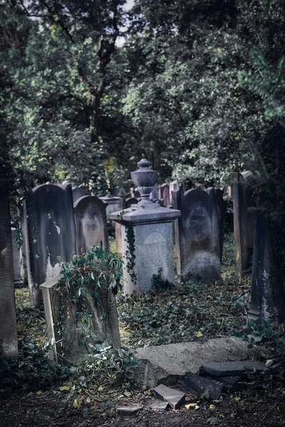 波兰弗罗茨瓦夫历史悠久的犹太公墓 — 图库照片