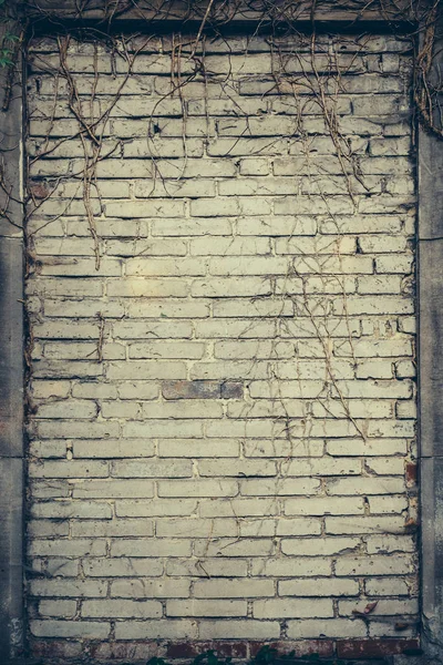 Antiguo grunge pared de piedra textura y fondo de patrón para el diseño de Halloween y texto —  Fotos de Stock