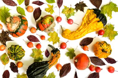 Kabak güz yaprakları ve beyaz arka plan üzerinde cennet elma ile. Üstten görünüm.