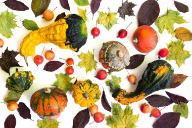 Kabak güz yaprakları ve beyaz arka plan üzerinde cennet elma ile. Üstten görünüm.