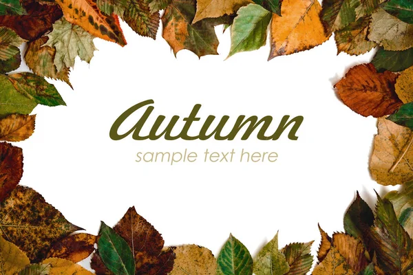 Composición de otoño. Marco hecho de hojas de arce de otoño. Plano, vista superior, espacio para copiar . —  Fotos de Stock