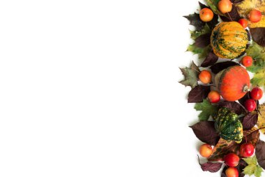 Kabak güz yaprakları ve beyaz arka plan üzerinde cennet elma ile. Üstten görünüm.