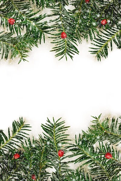 Kerstmis grens ontwerpen op de witte achtergrond — Stockfoto