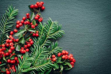 İle çam dalları ve karanlık taş zemin üzerine ateş dikeni süslemeleri