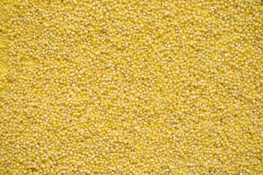 Top görünümünde darı kabuğu çıkarılmış tane kuru, tasarımınız için arka plan