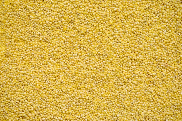 Dry Millet Groats Top View Abstract Background Your Design — Stock Photo, Image