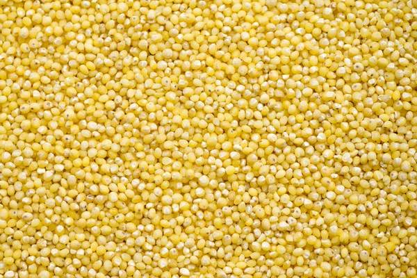 Dry millet groats in top view, abstract background for your design