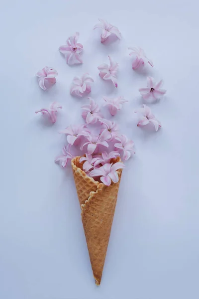 Chifre de sorvete com jacinto rosa em um fundo azul. Para Feliz Dia das Mães, Dia das Mulheres ou cartão de felicitações de aniversário — Fotografia de Stock