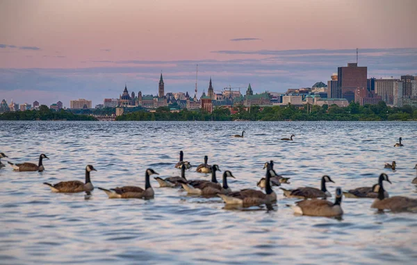 Ottawa, Canadá ao pôr do sol — Fotografia de Stock