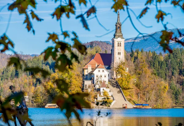 Νησί με μια εκκλησία σε Λίμνη Μπλεντ, Σλοβενία — Φωτογραφία Αρχείου