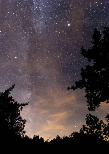 Млечный путь в небе над деревьями — стоковое фото