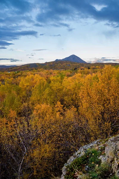 Färgglada träd vid sjön Myvatn på Island — Stockfoto