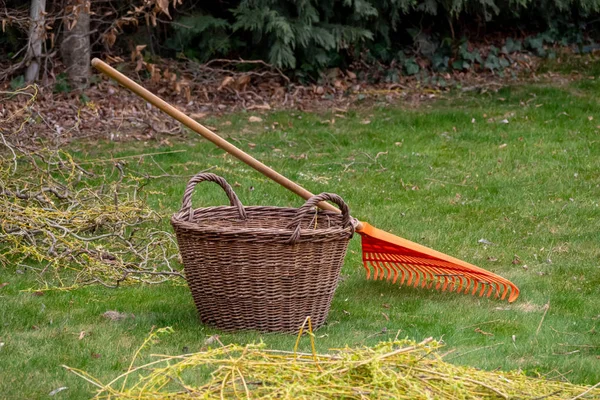 Rastrillo naranja junto a una canasta en el jardín Imagen de archivo