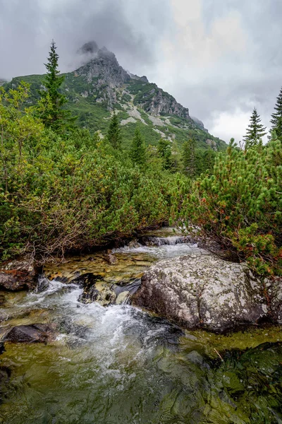 Hermosos High Tatras en Eslovaquia en Europa — Foto de Stock