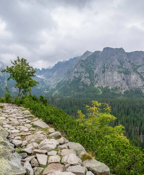 Slovakya Avrupa'nın güzel yüksek Tatras — Stok fotoğraf