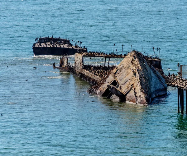 Pemandangan Shipwreck Lama S.S. Palo Alto — Stok Foto