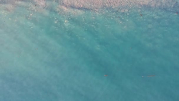 Aerial view of Arroyo Hondo Bridge on PCH Highway 1 — Stock Video