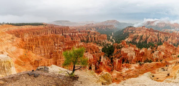 Utah, Bryce Canyon Milli Parkı, Bryce Kanyon ve Hoodoos — Stok fotoğraf