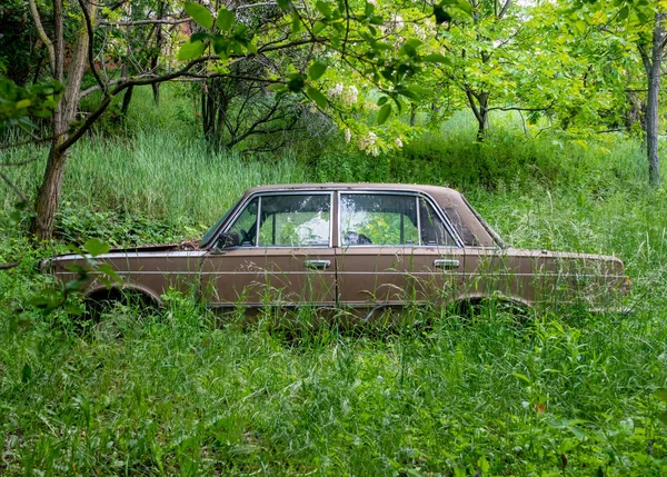 Derelict old car is overgrown with grass — Stock Photo, Image