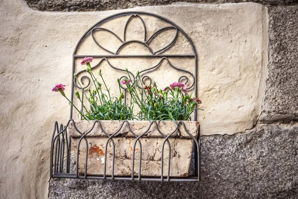 在意大利南部蒂罗尔克劳森老城的美丽的铁框架花卉盒 — 图库照片