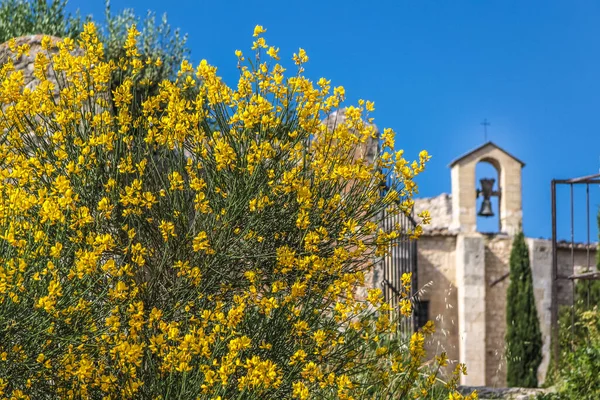 Blomsterprakt Och Litet Kapell Saint Saturnin Les Apt Provence Frankrike — Stockfoto