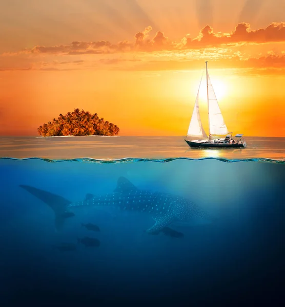 半水下射击与鲸鱼鲨鱼 游艇和异国情调的海岛在日落 — 图库照片