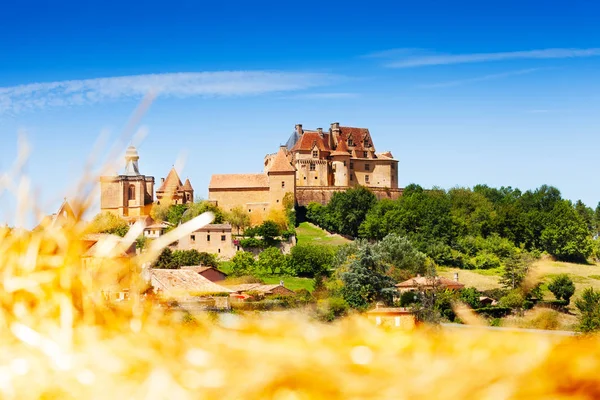 Панорамний Вид Середньовічні Хілл Топ Село Бірон Франції Європа — стокове фото