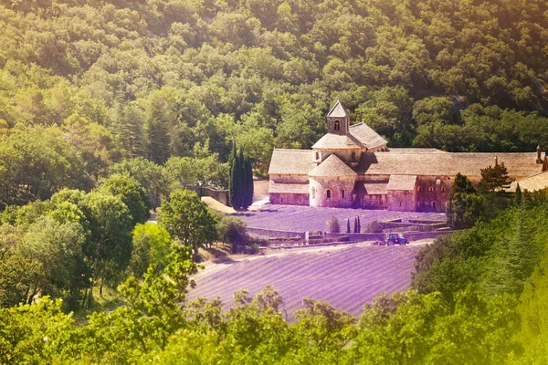Vista Aérea Abadía Senanque Con Campos Lavanda Provenza Francia Día — Foto de Stock