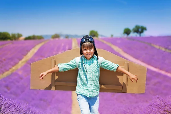 Happy Little Boy Wearing Aviator Hat Cardboard Wings Running Lavender — Stock Photo, Image