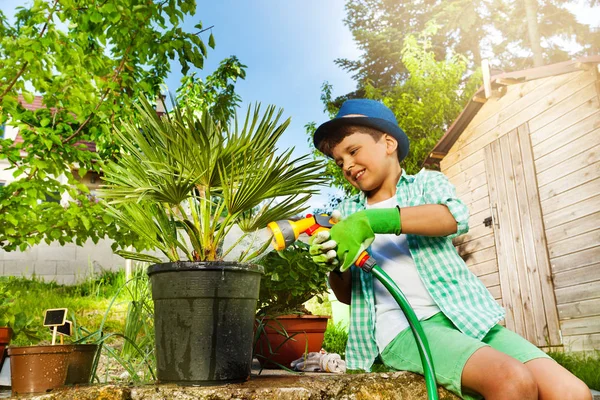 Portrait Little Gardener Seven Years Old Boy Watering Palm Tree — Stock Photo, Image