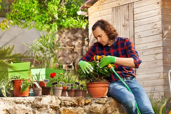 Homme Portant Des Gants Jardinage Arrosant Des Fleurs Printemps Pot — Photo