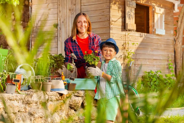微笑的母亲和她的小儿子的肖像种植红天竺葵在一个容器一起在后院 — 图库照片