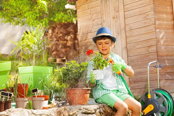 Kleiner Junge Gießt Rote Geranien Mit Handregner Garten — Stockfoto