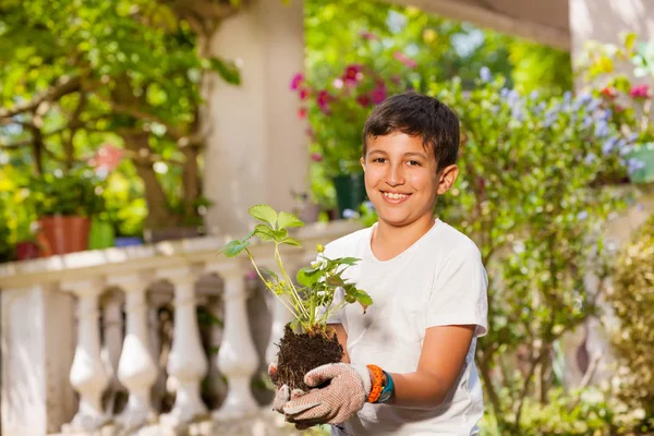 Portrait Heureux Garçon Préadolescent Dans Des Gants Jardinage Tenant Des — Photo