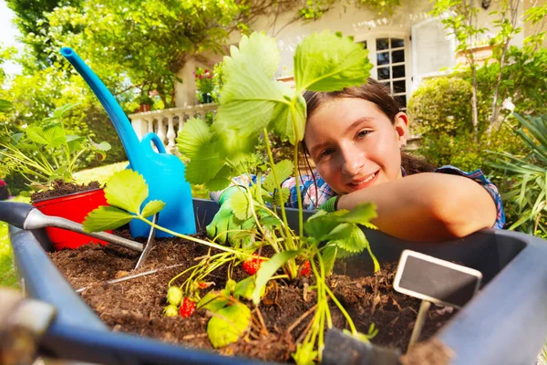 Ritratto Ravvicinato Una Ragazza Felice Che Pianta Fragole Vaso Giardino — Foto Stock