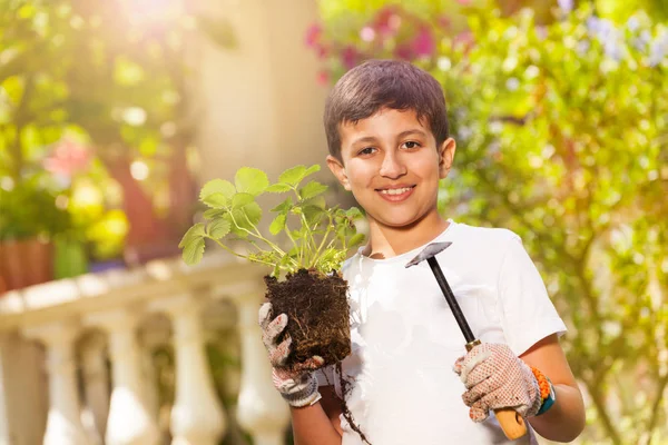 青春期男孩戴园艺手套 持有草莓植物和花园铲的特写肖像 — 图库照片